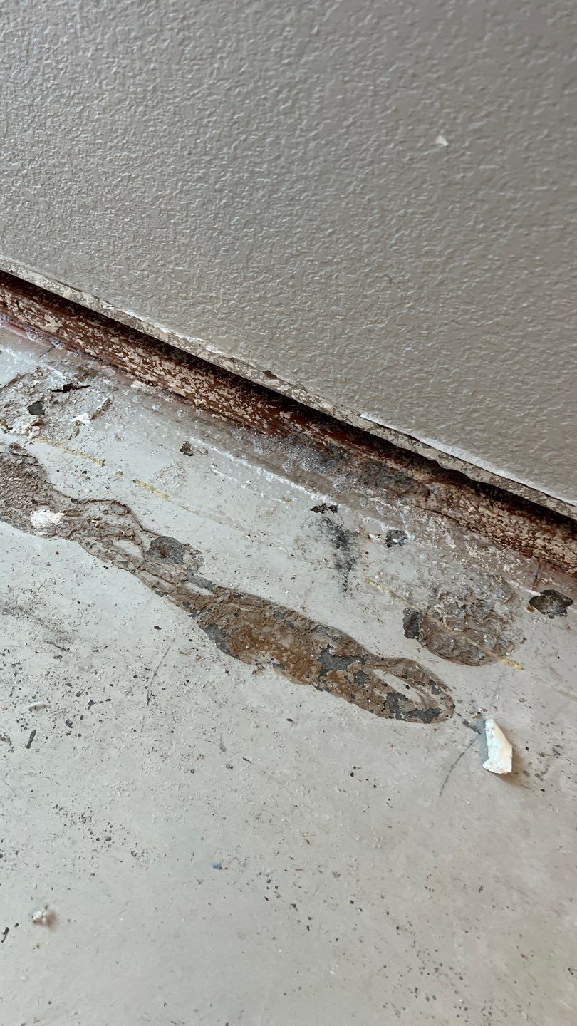 Mold Remediation  by Accountable Home Services