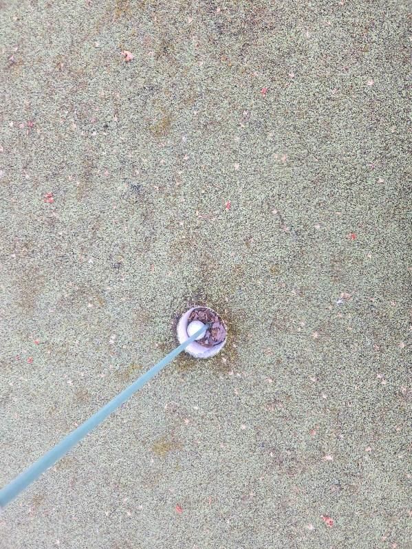 Residential Putting Green Maintenance in Columbus by Southwest Greens Midwest
