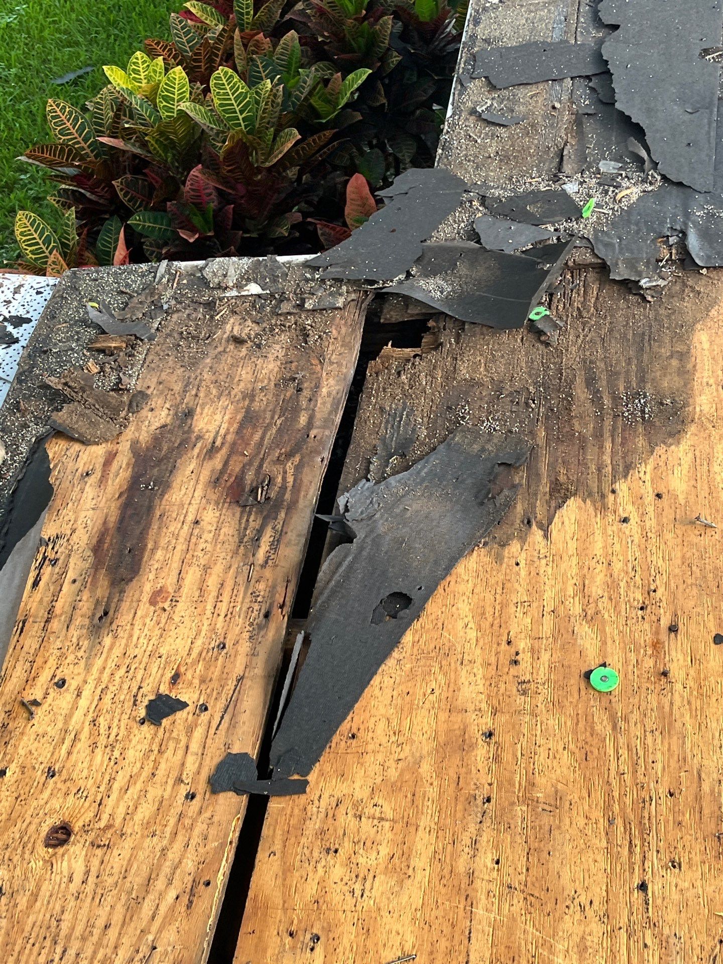 Project in Seminole 33777 by Mitchell Roofing Company LLC