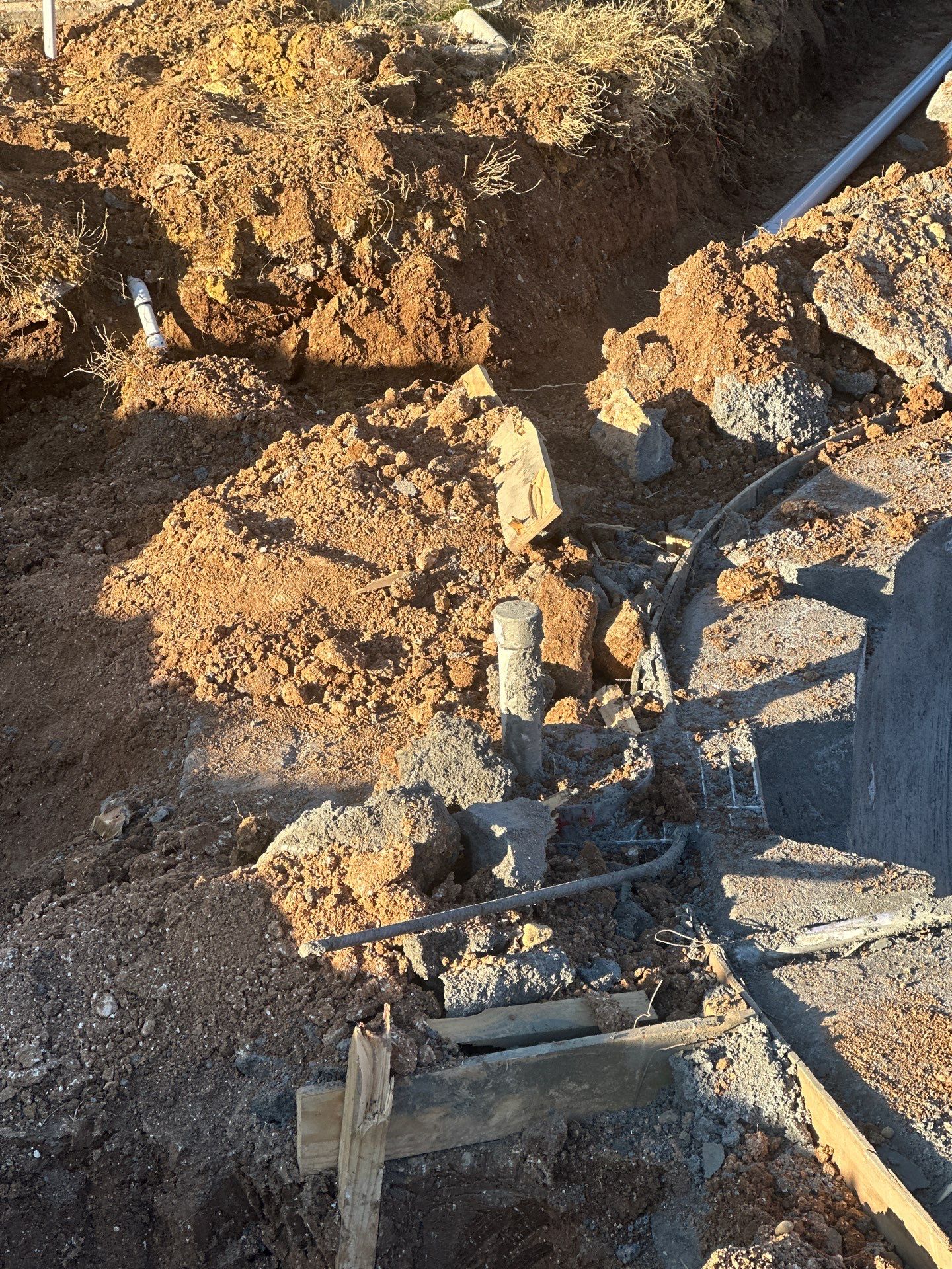 Large Freeform Pool with Tanning Ledge by Pinnacle Pools and Spas - DFW