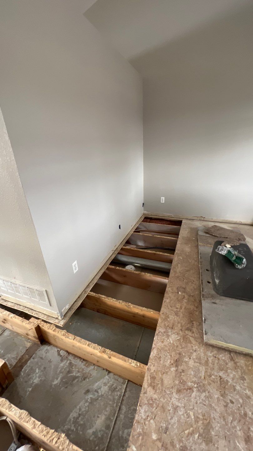 Mold Remediation by Accountable Home Services