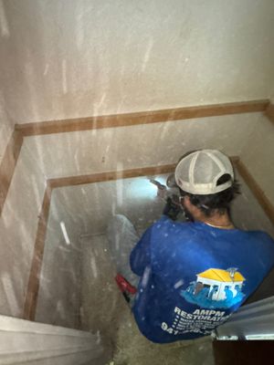 Mold Removal In Bradenton FL