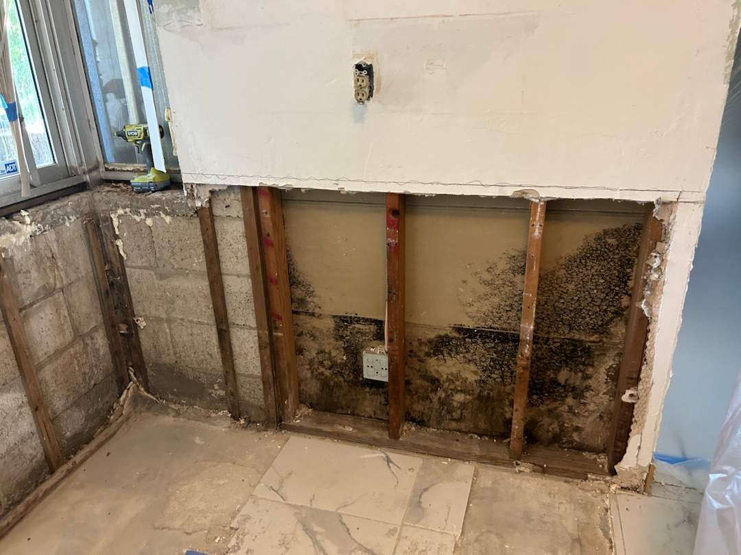 Project in Tamarac by You Restorations LLC DBA YOU-Home