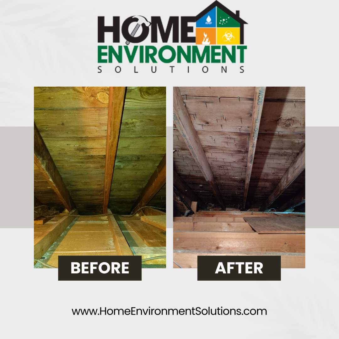 Mold remediation and insulation upgrade in Pittsburgh, PA 15234 by Home Environment Solutions