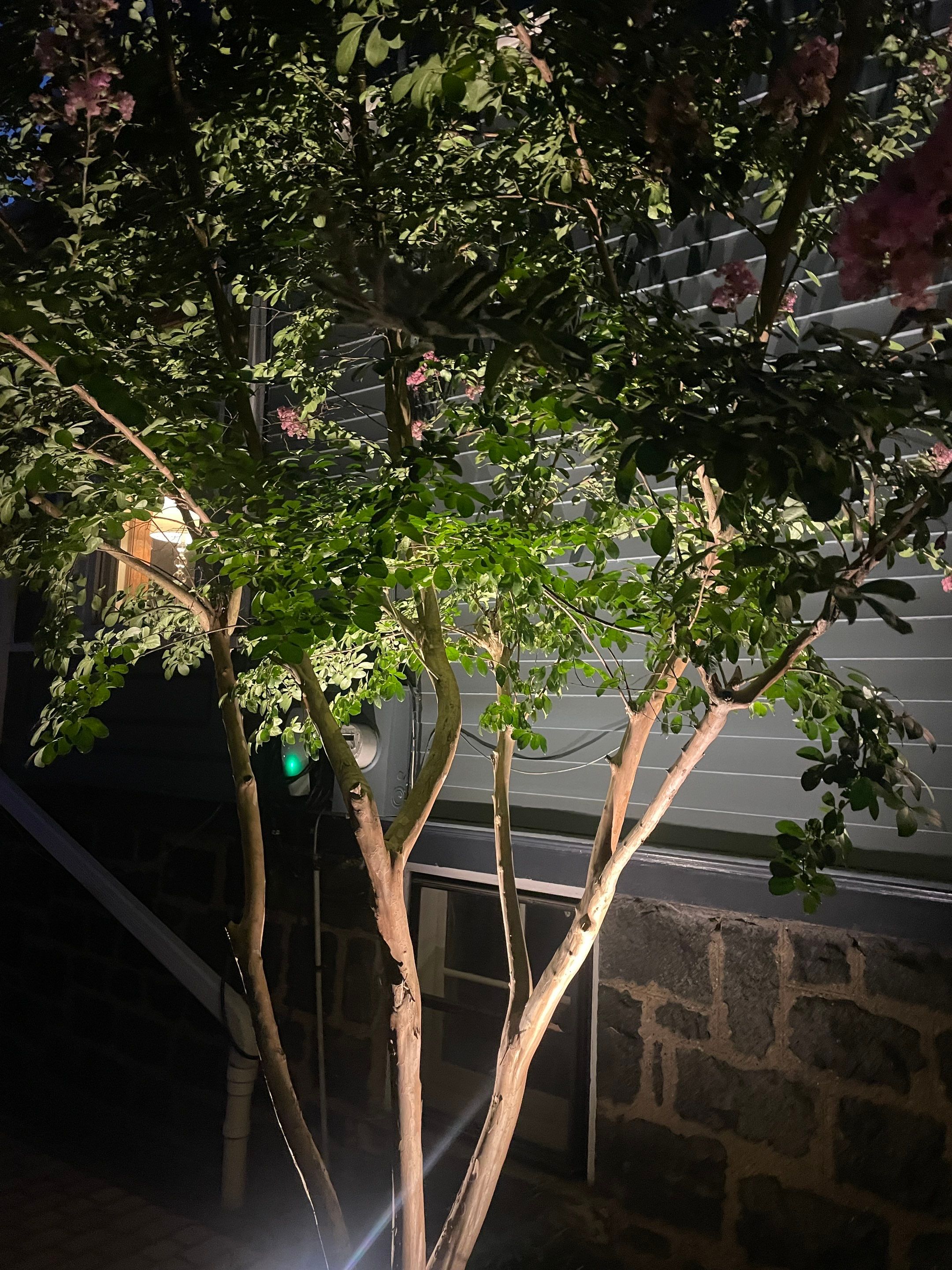 Project in Weehawken Township, NJ by Yellow Wagon Landscaping