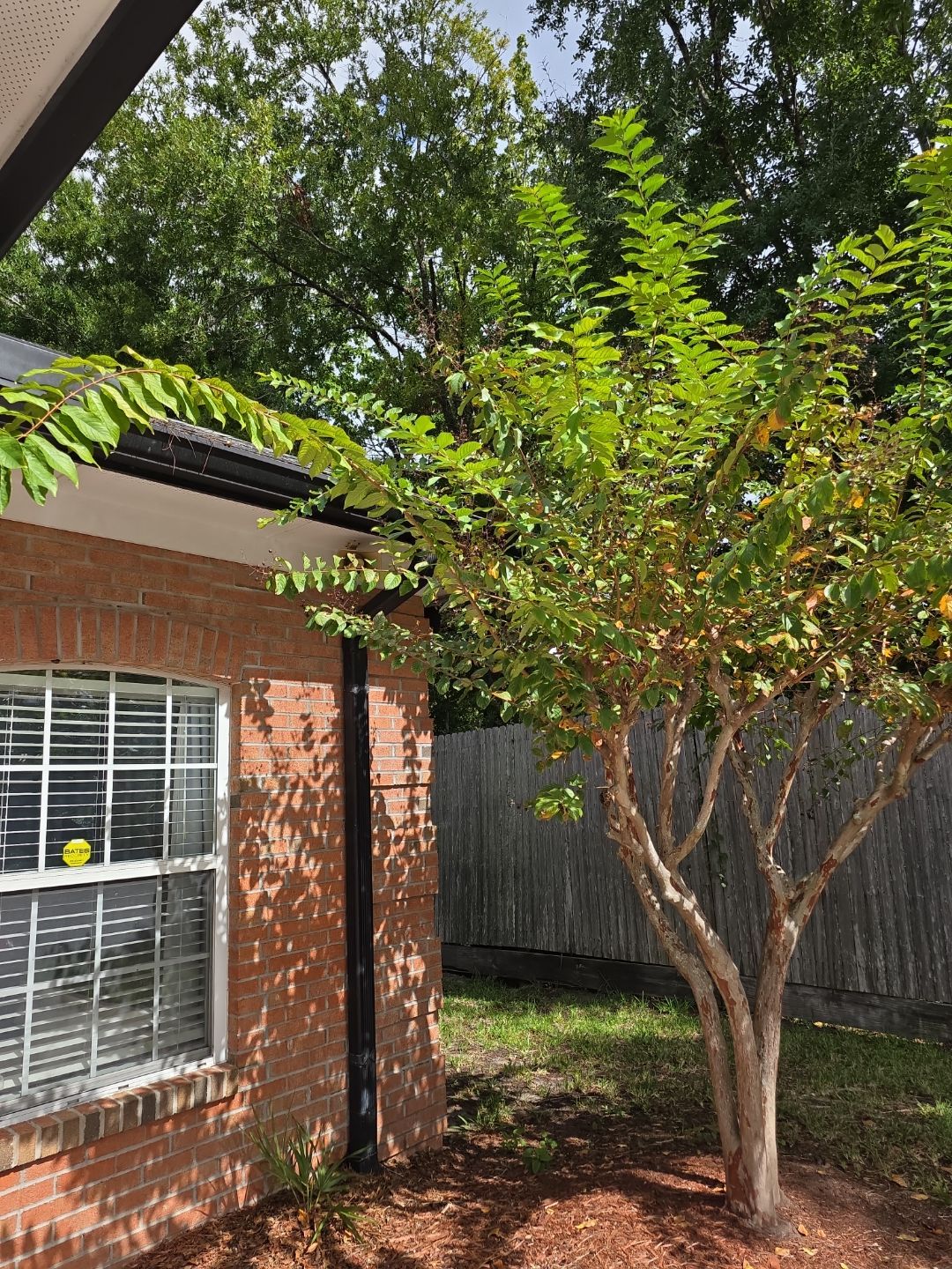 Commercial Property | Tree Removal & Trimming by ProGreen Services