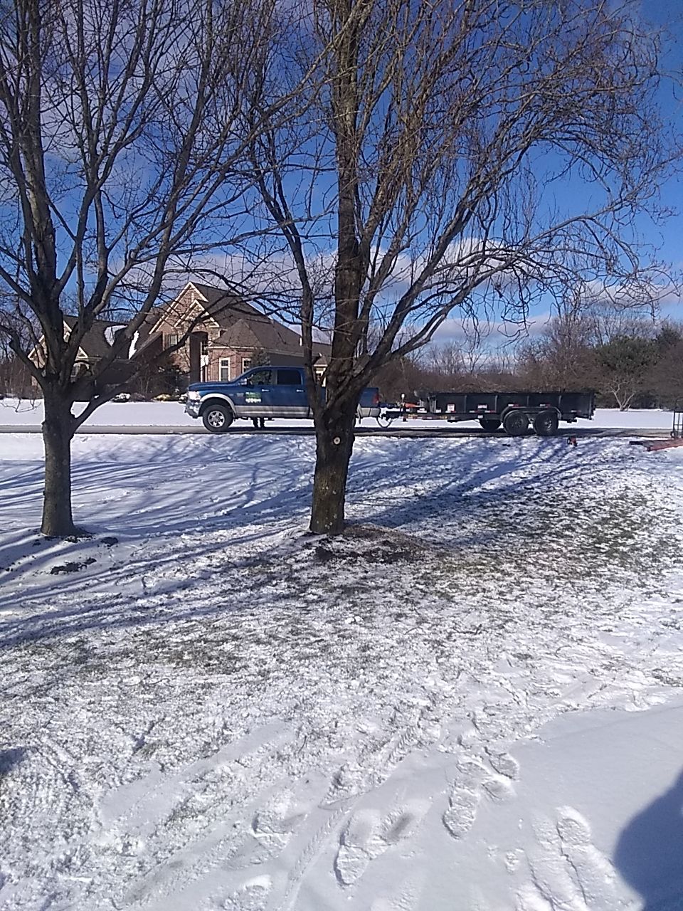 Tree Trimming using Tree Pruing by Mike Jones & Sons Tree Service LLC 