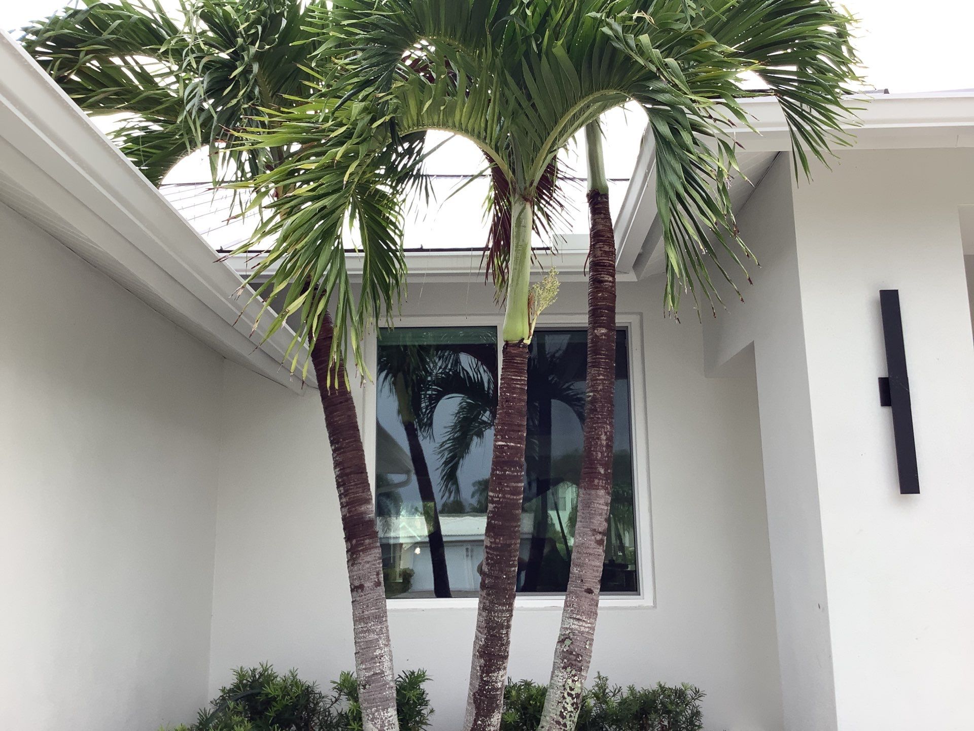 Splash Guard Gutters in  Longboat Key FL by Gutter Professors
