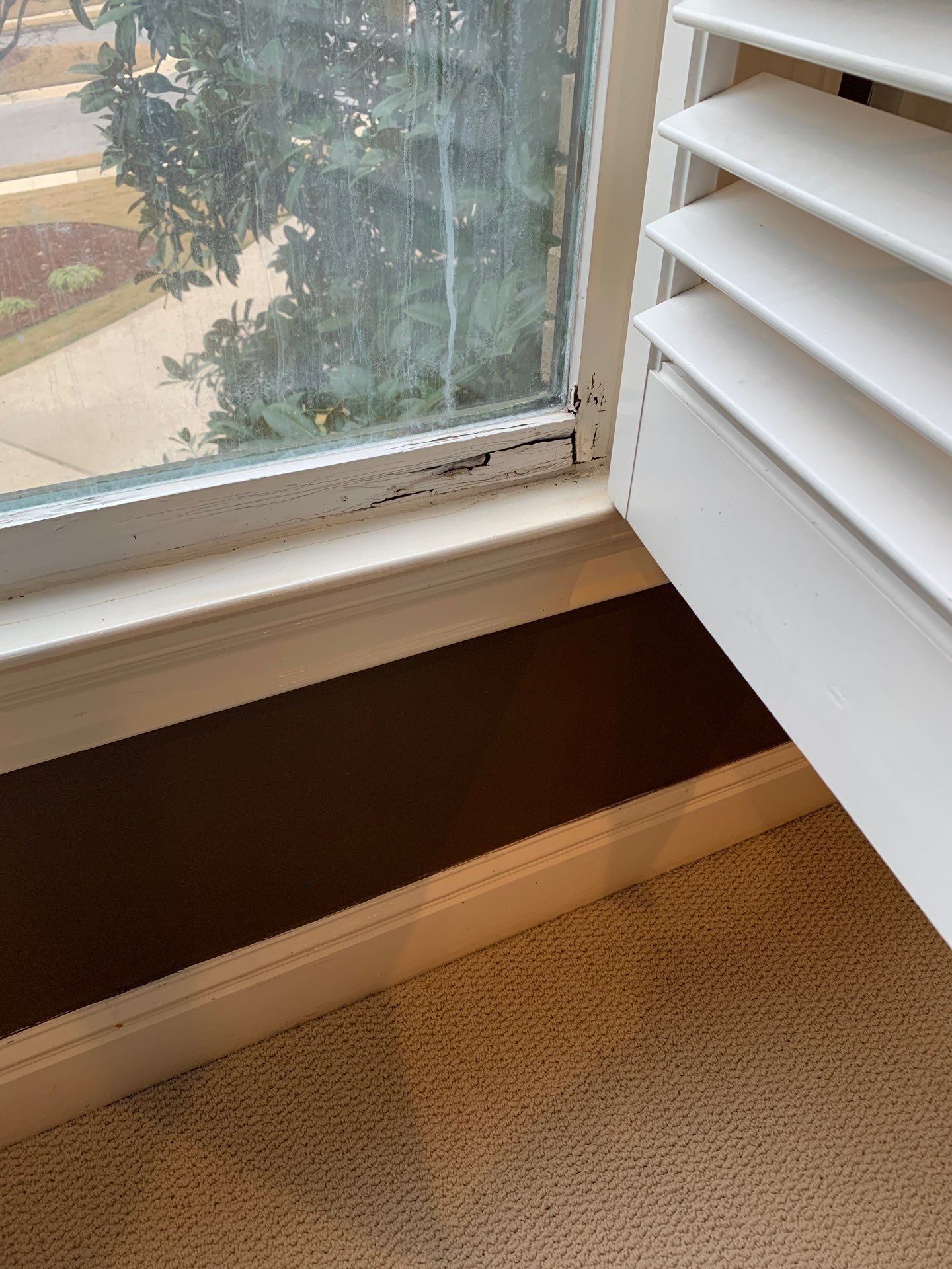 Phillips Project in Vestavia  by The Window Source