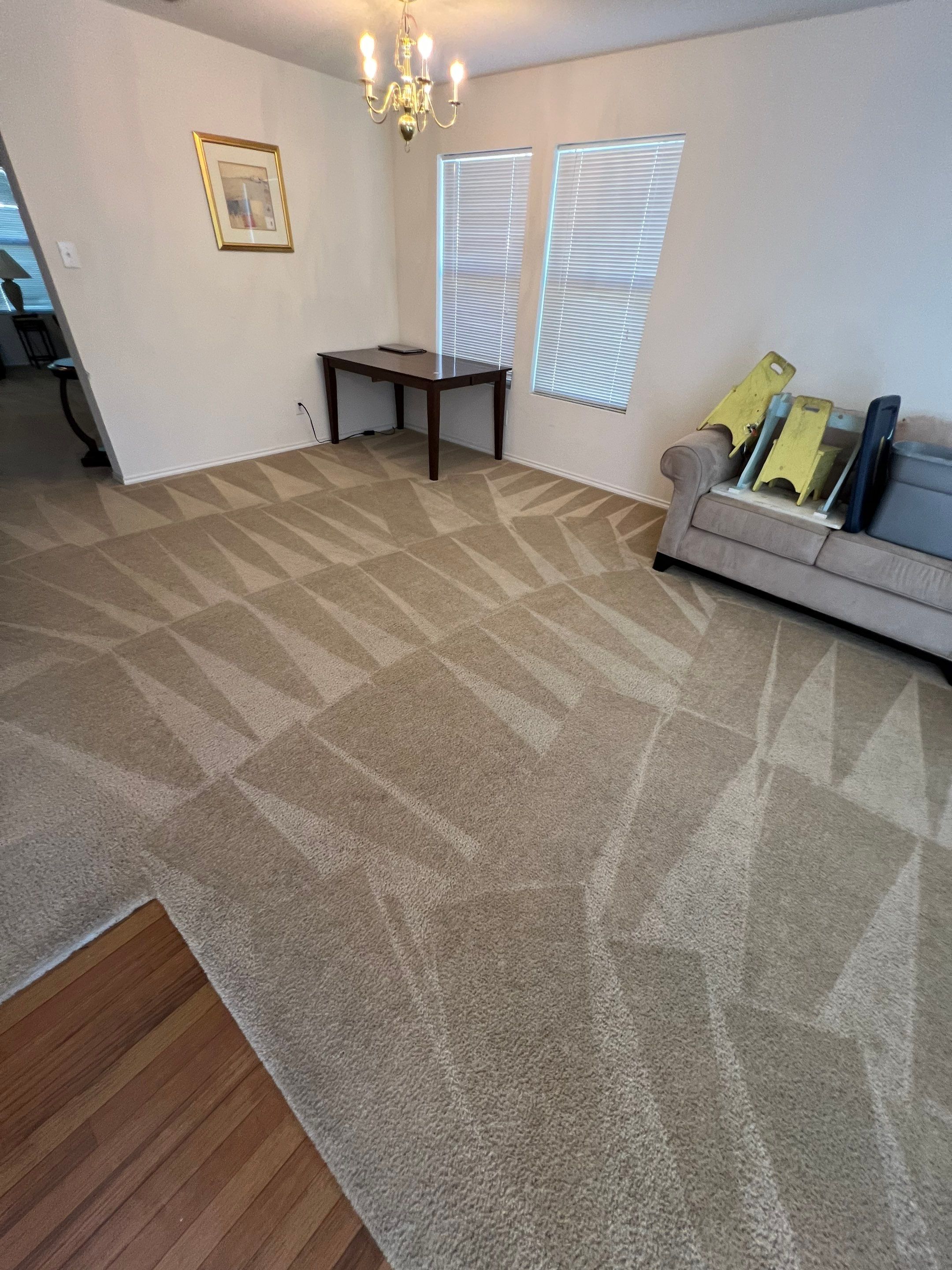 cleaning of carpet with visible vacuum lines showing fresh and hygienic appearance in the living room space