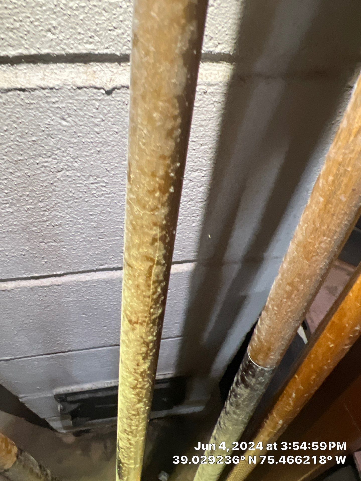 Basement Mold Remediation by Healthy Home Solutions