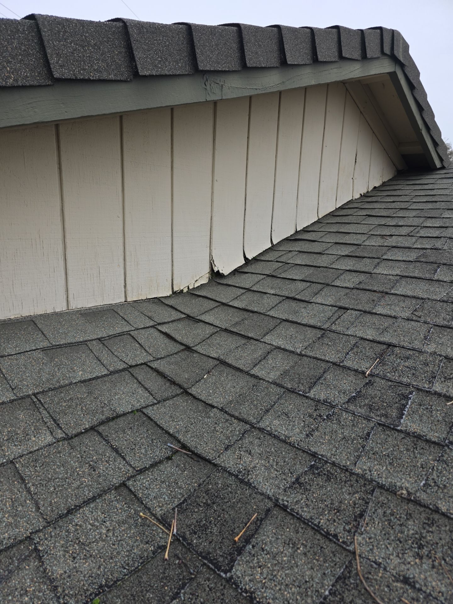 Roof Rejuvenation using Roof Maxx Treatment by Roof Maxx of Folsom
