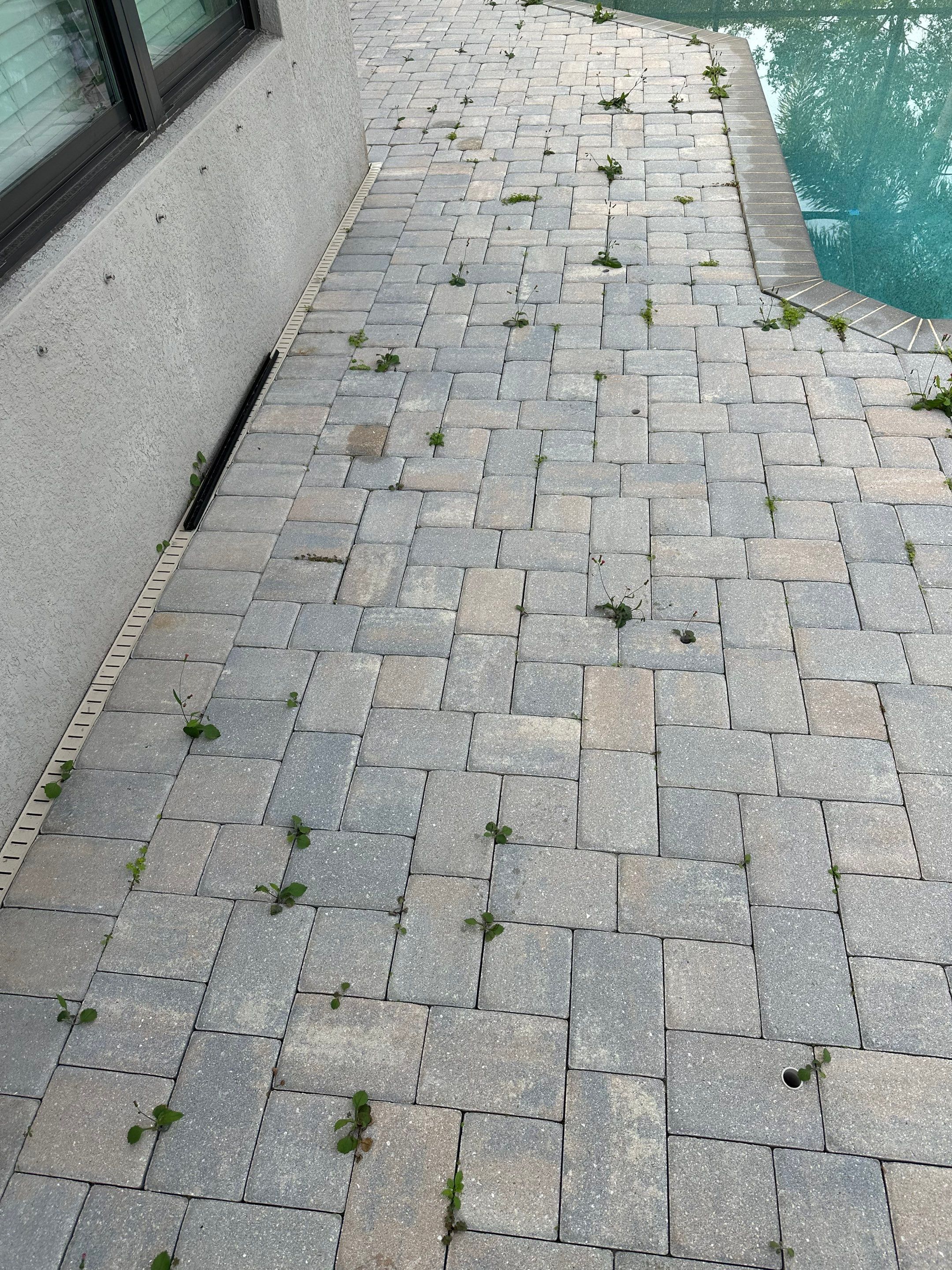 Concrete Tile Roof, Paver Pool Deck, Screen Enclosure & Driveway Cleaning in Artisan Lakes Esplanade, Palmetto, FL | Sunshine AquaWash by Sunshine AquaWash
