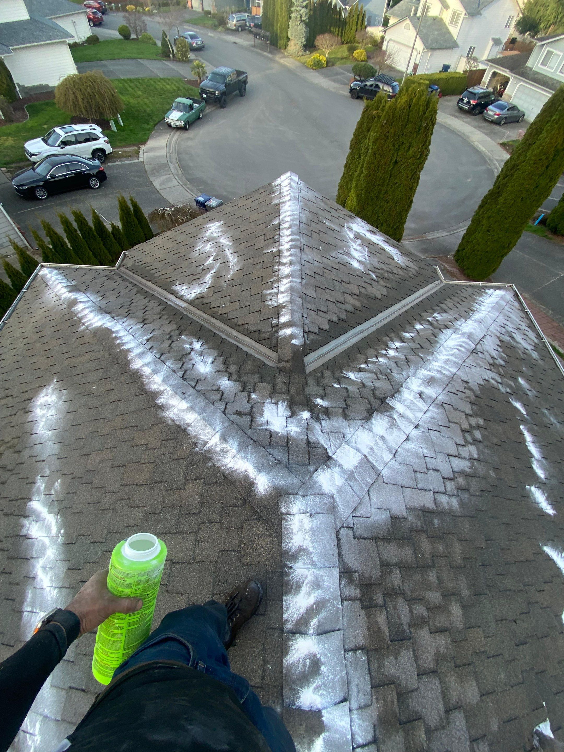 Roof Cleaning – Everett, WA by Everpro Construction