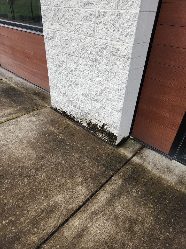 Soft Wash using Soft wash solution by Willamette Outdoor Wash LLC