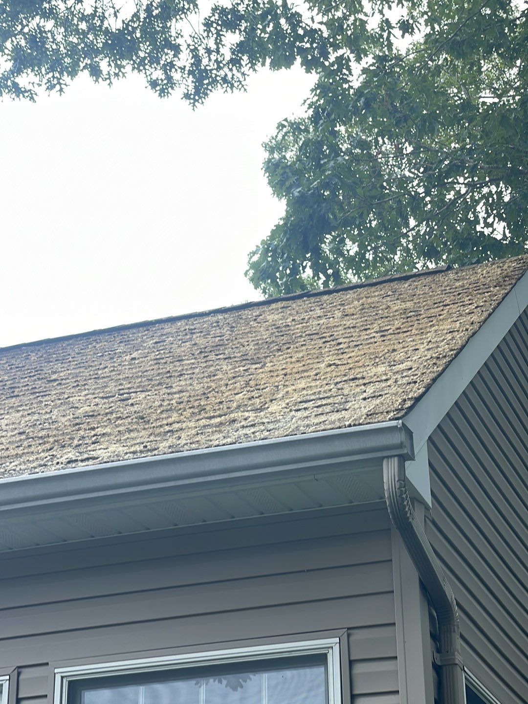 Residential Exterior Cleaning by SJ Exterior