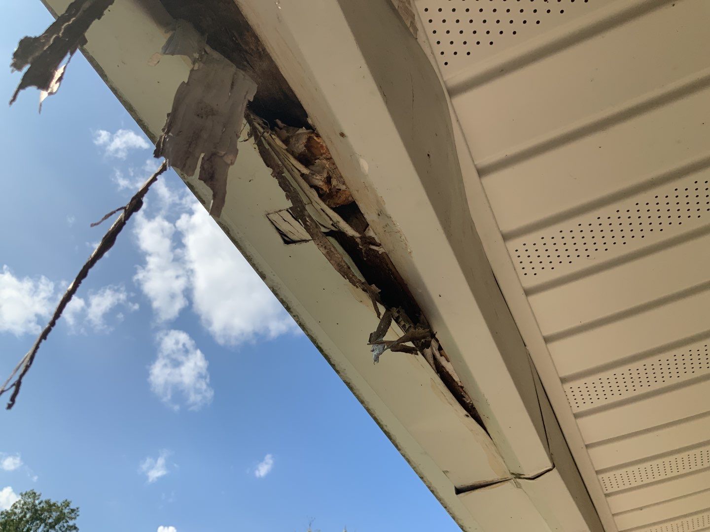 Exterior Repair using Exterior Installation  by Alpha Design Services