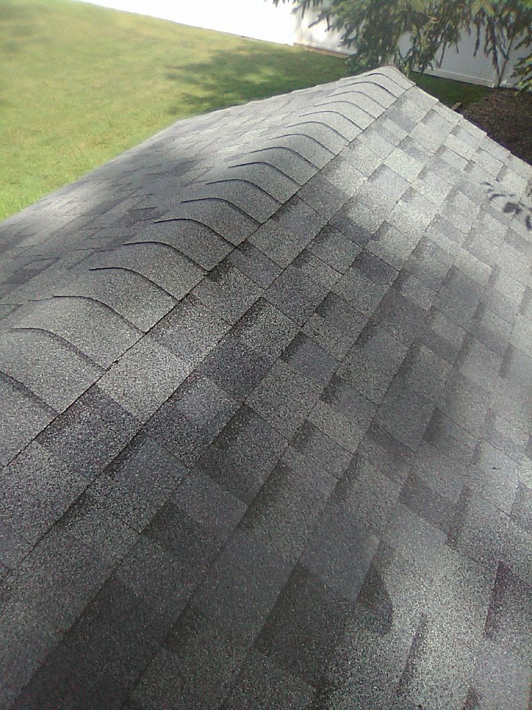 Doris Ries by Silver Leaf Contracting 