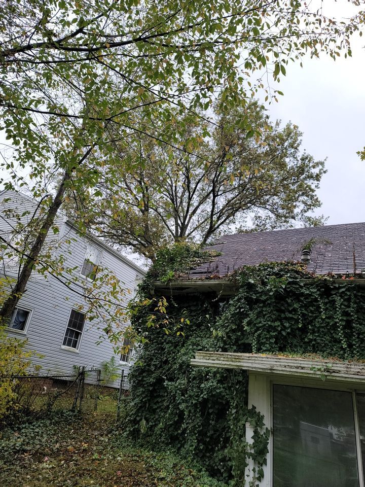 Brand: Atlas Pinnacle Color: Pristine Black by Eagle Eye Roofing