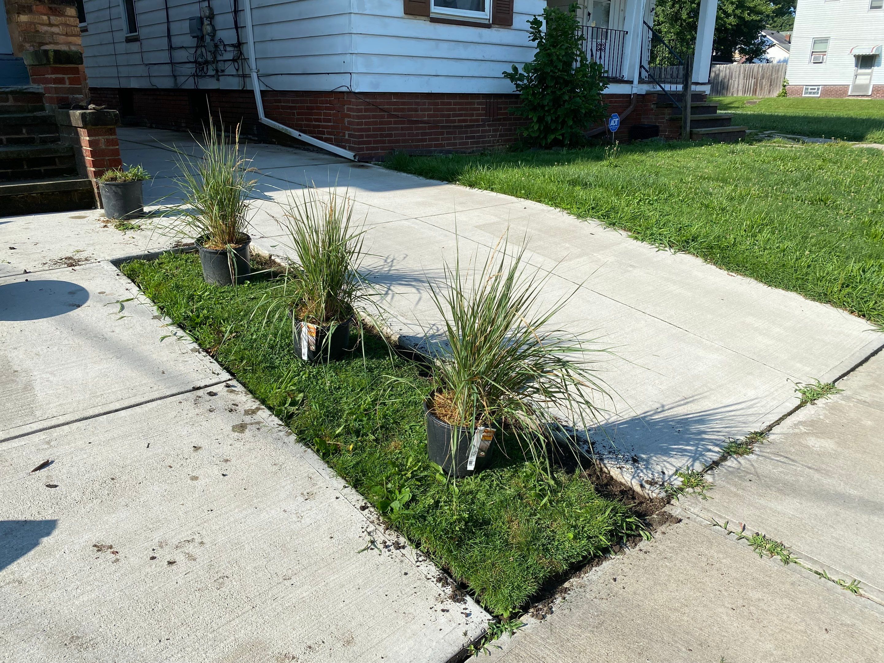 Rent Ready Install by Elm Rose Gardens