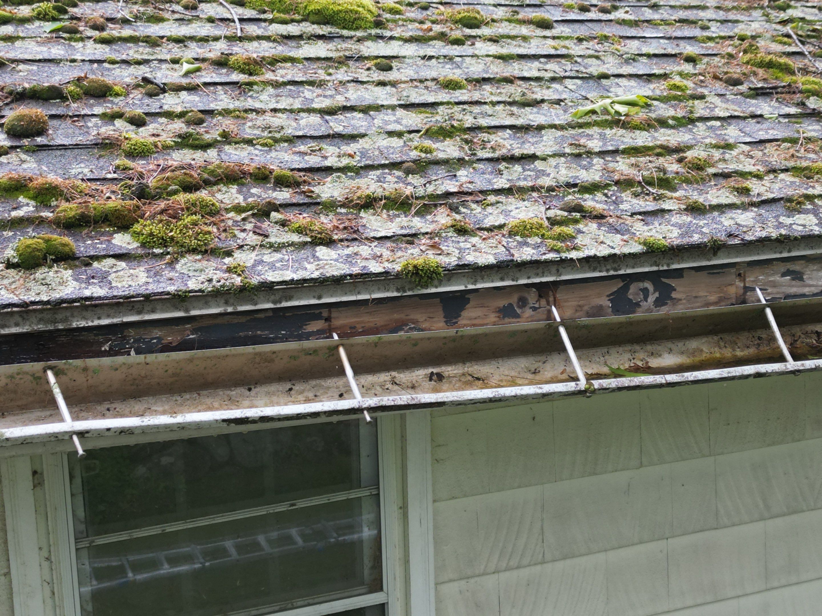 Roof & Exterior Renovation – Chelmsford, MA by Mighty Dog Roofing of Greater Middlesex County