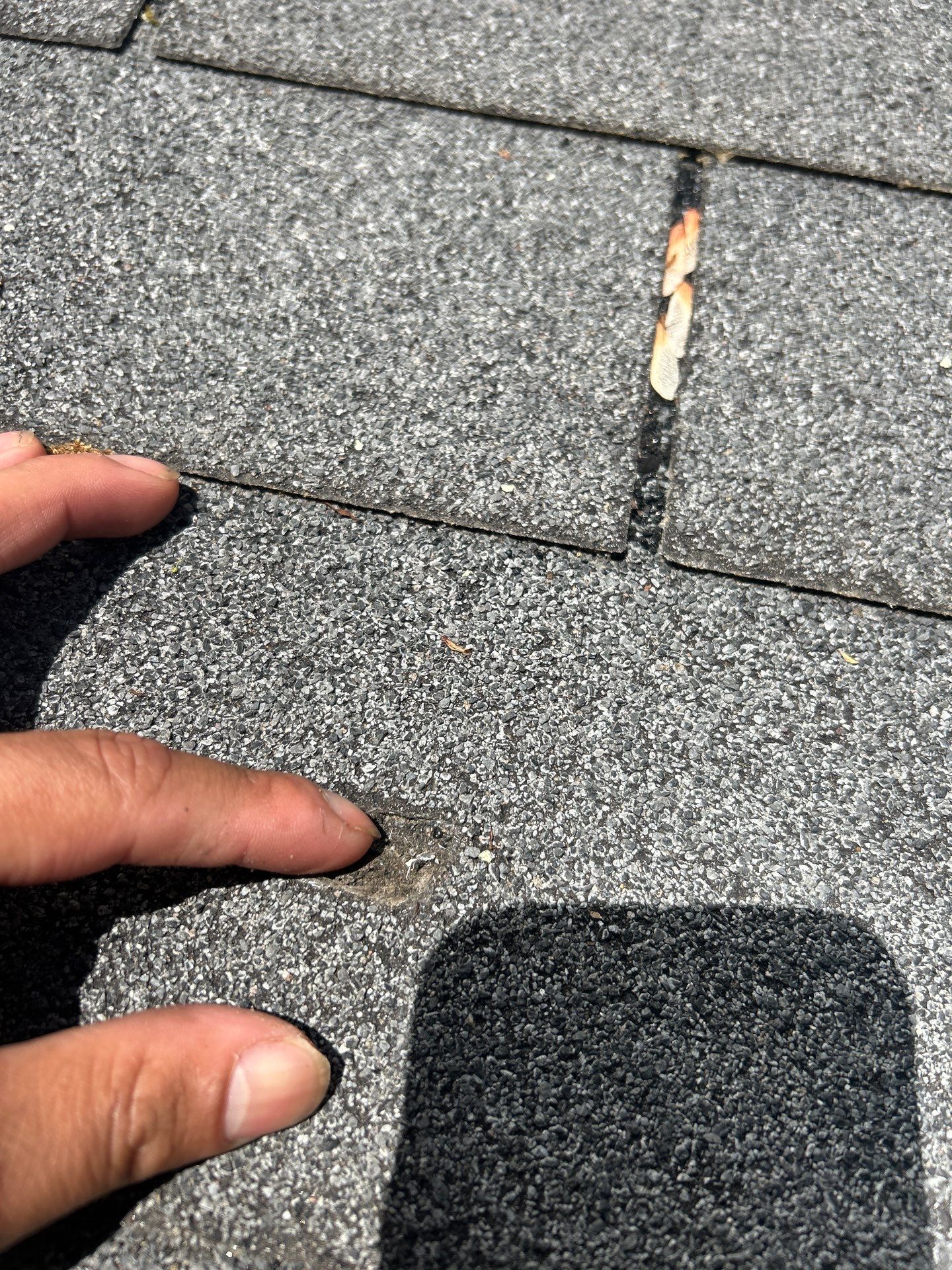 Reston Roof Replacement with CertainTeed Landmark PRO in Max Def Moire Black by RM Banning, Inc.