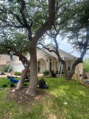 Project in Cedar Park