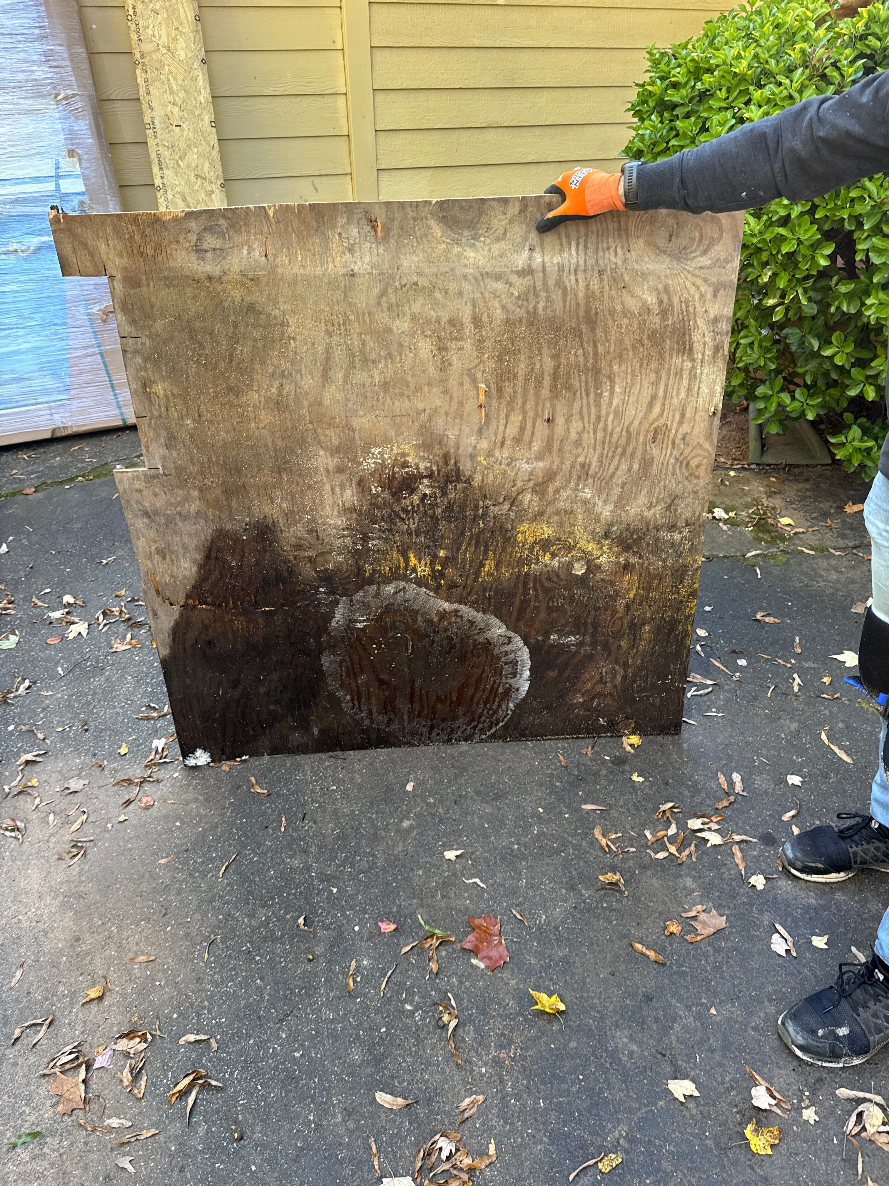 Major Rot & Framing Repair! 🛠️ by A Step Above Handy LLC 