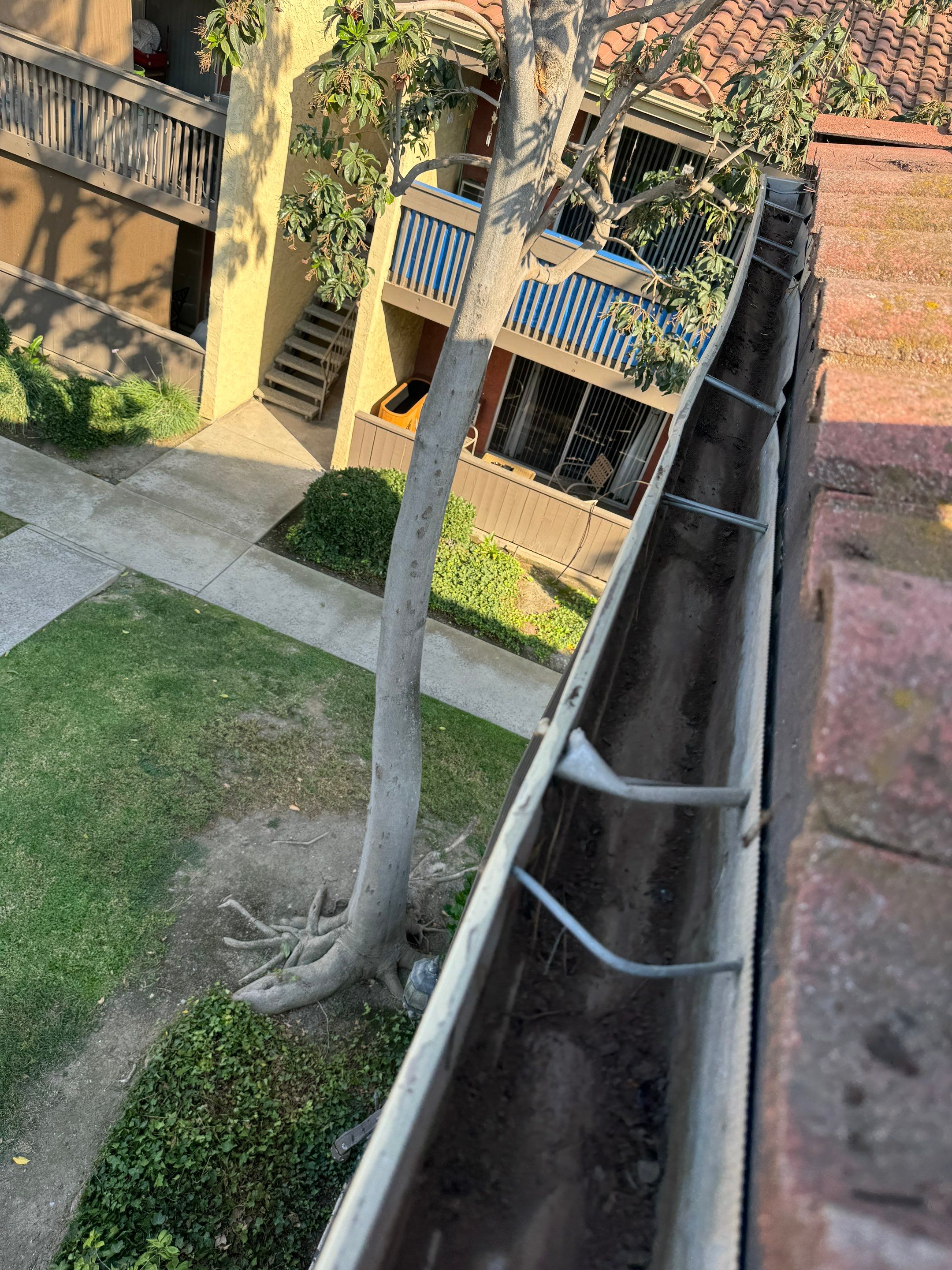 Commercial gutter cleaning Pasadena & San Gabriel Valley, CA after photo with clean gutters