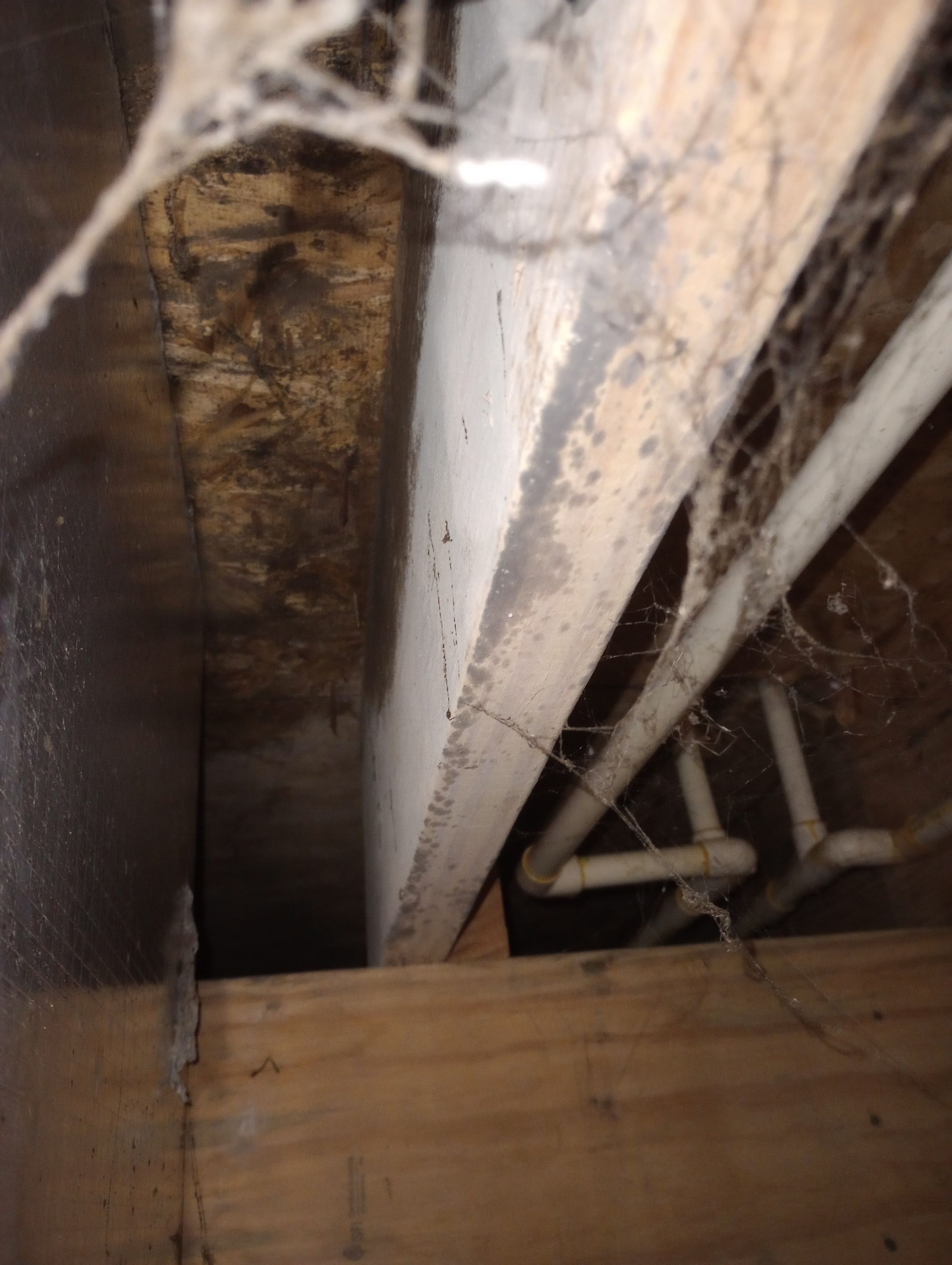 Emergency Service Water Damage in Paris Crossing, IN by ANR Restoration