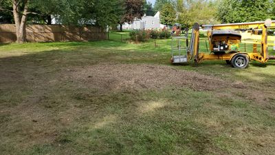 Tree Removal