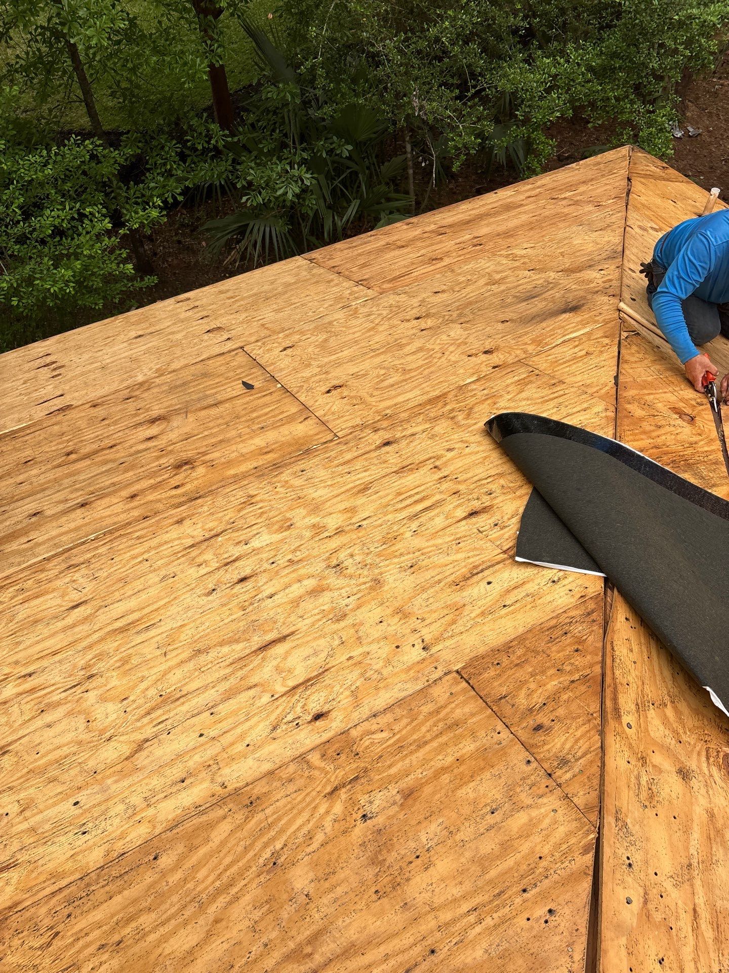 Roof Replacement Spring by Roof Repair Company