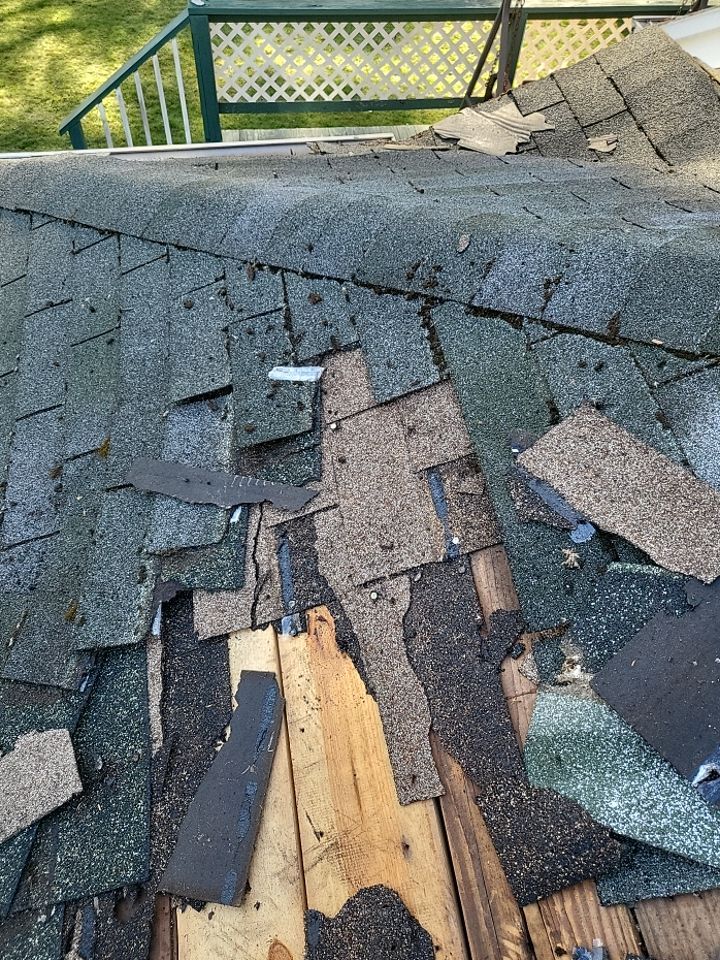 ATLAS PINNACLE COLOR: COASTAL GRANITE DRIP EDGE: BLACK by Eagle Eye Roofing