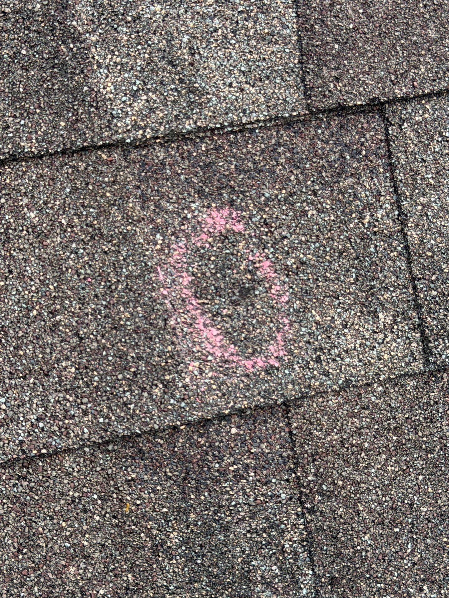 Veronica Inspection by Boss Hogg Roofing