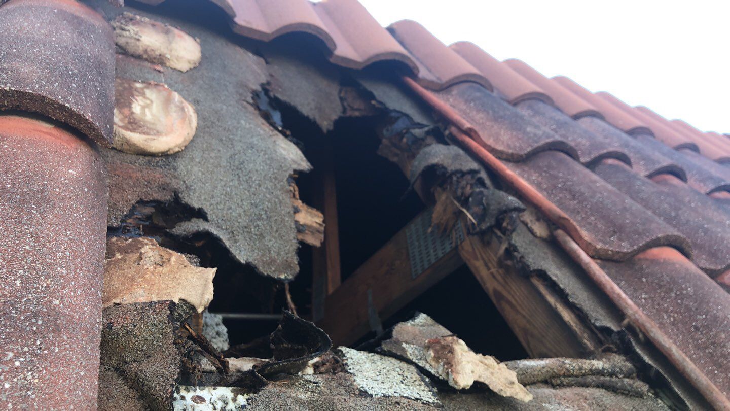 Roofing repair & Exteriors using Concrete Roof Tile by Aastro Roofing
