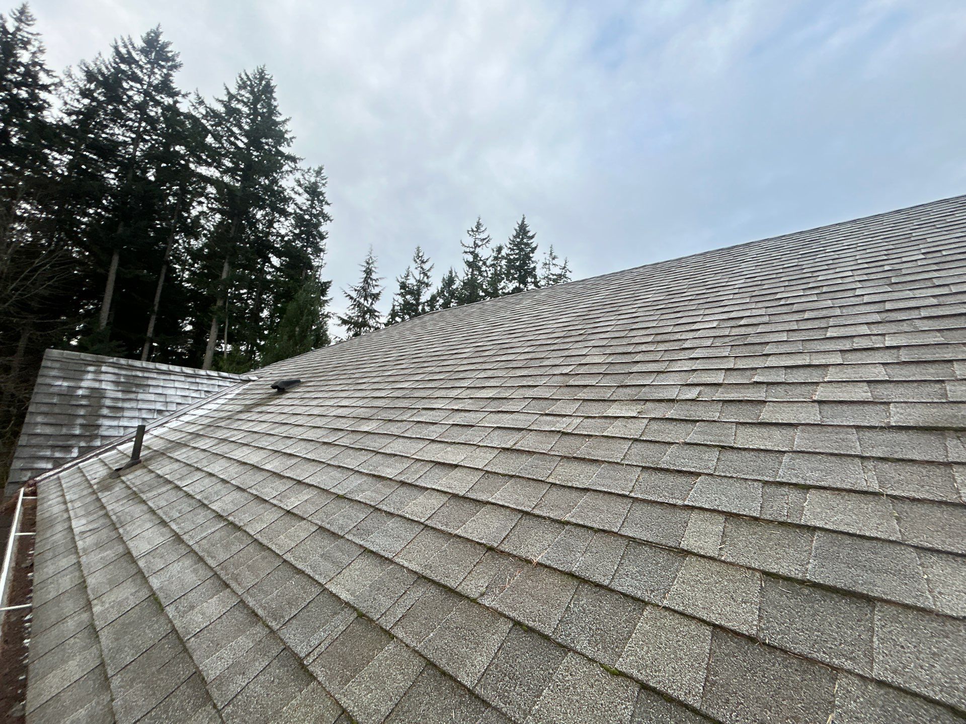 Project in Mukilteo by Peaks and Valleys Construction