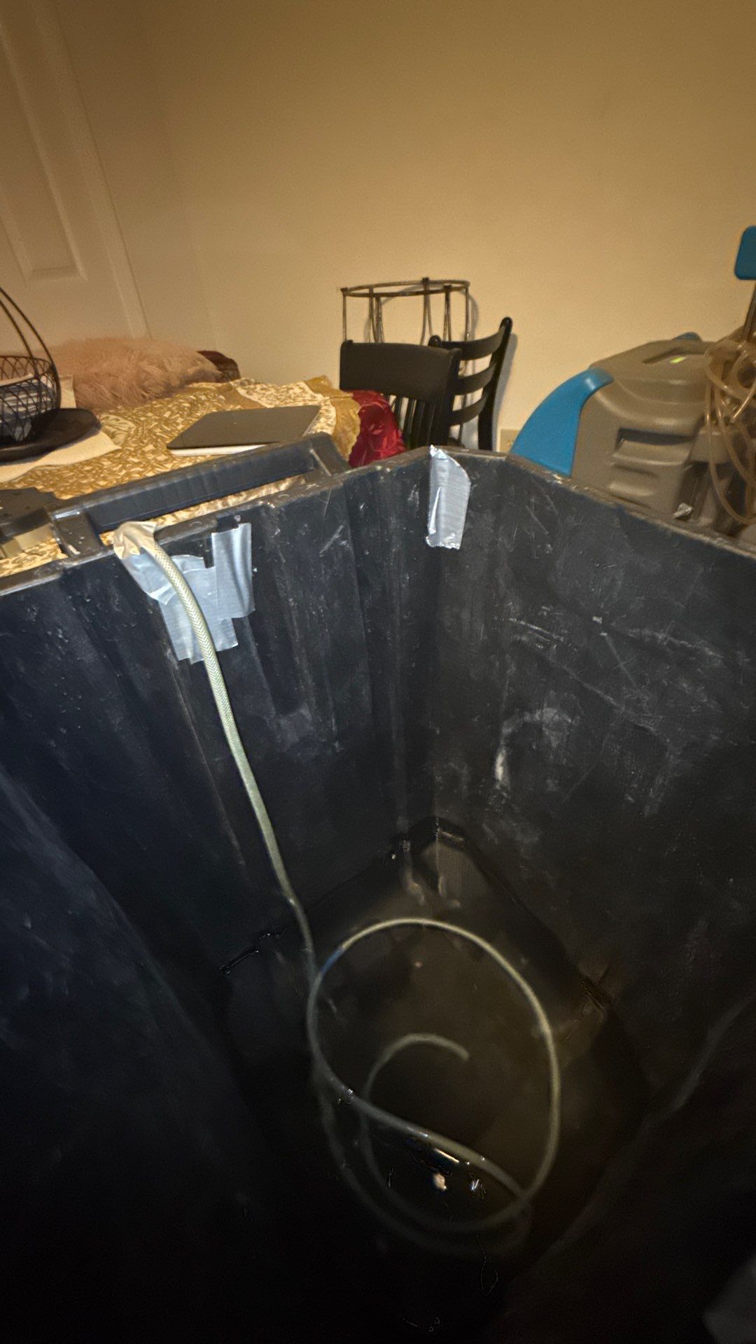 Project in Springfield by Restoration Doctor