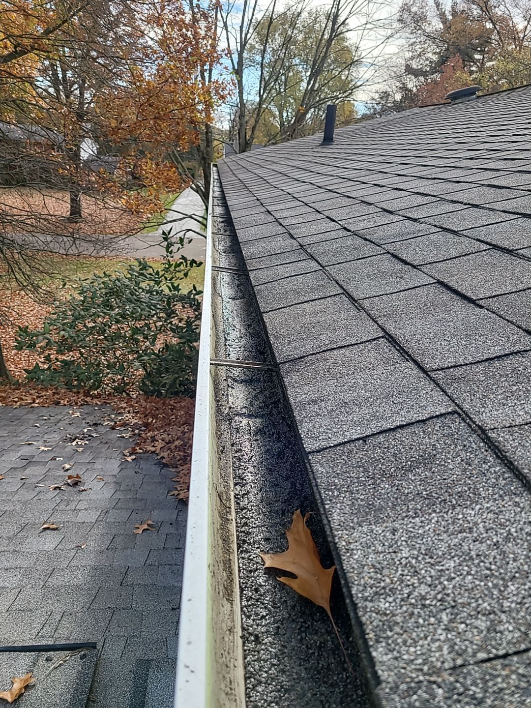 Mary Smith Canton by Silver Leaf Contracting 