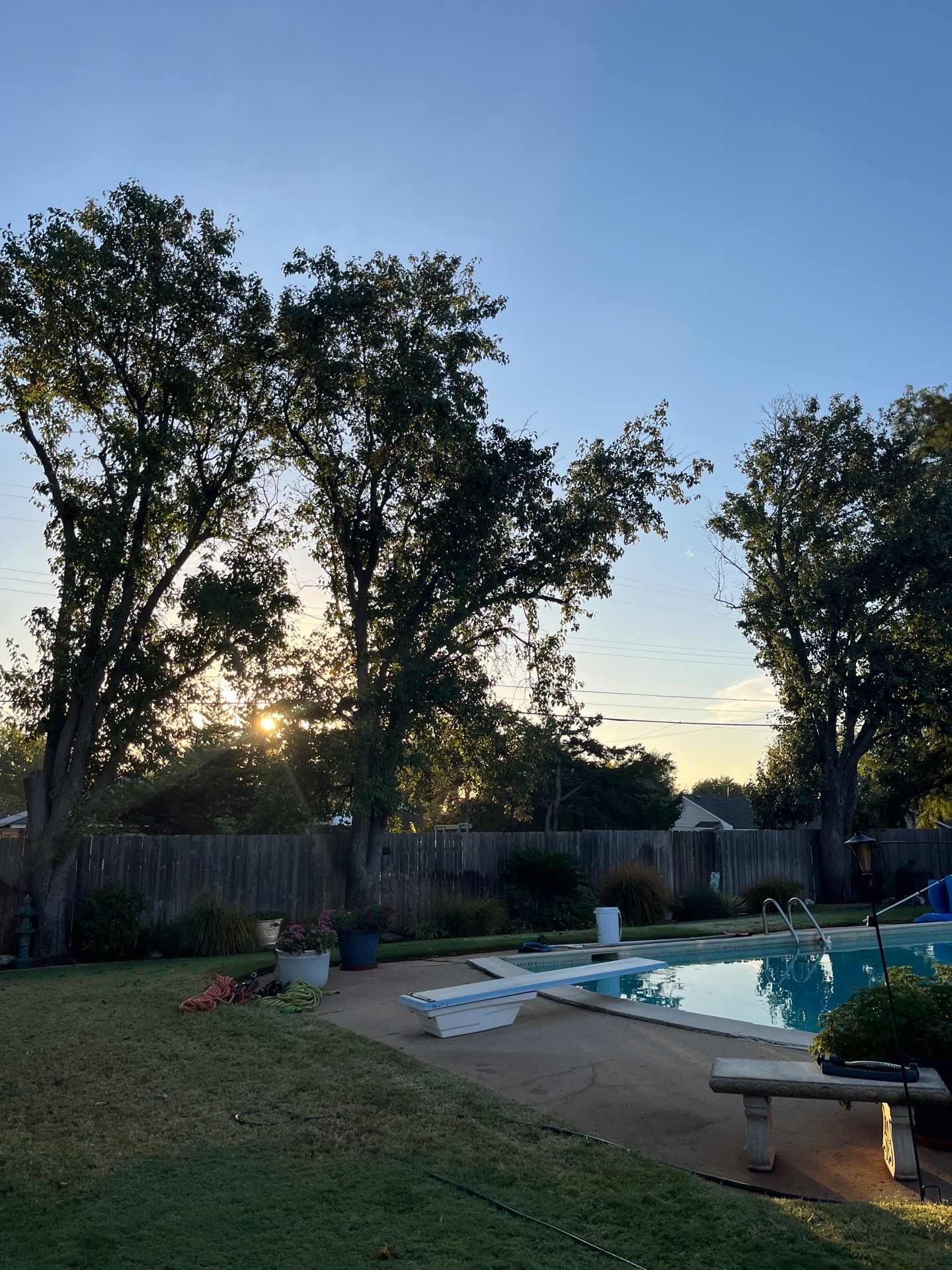 Tree Removal using Chainsaws by Clays Services Inc
