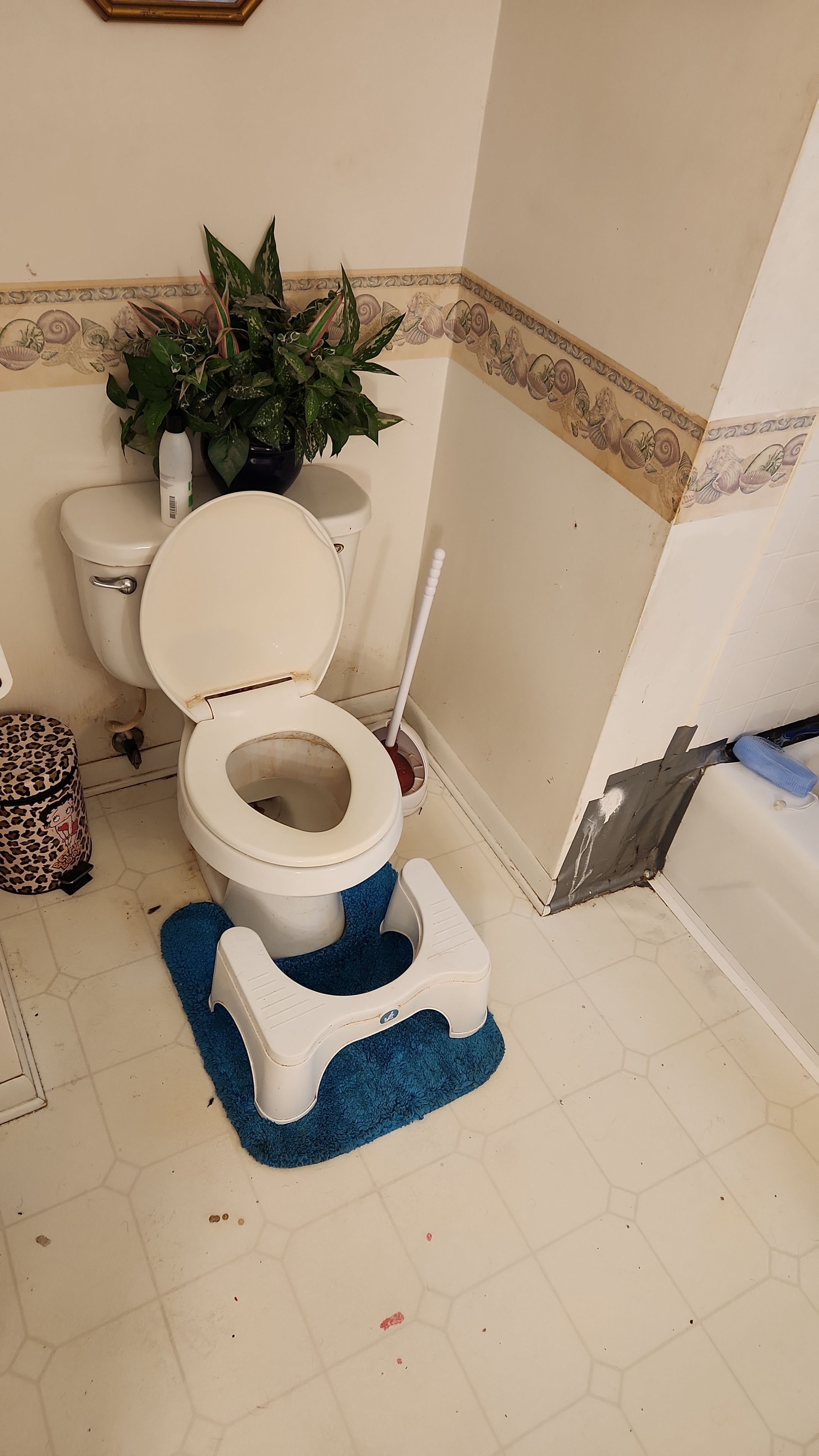 Bathroom Remodel using Shower Door by The Shower Company
