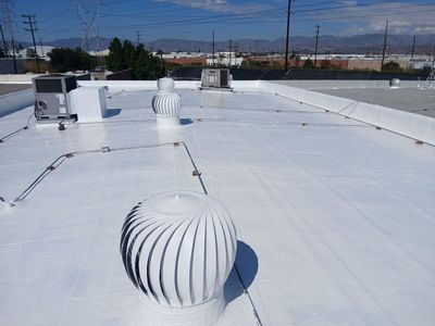 Silicone Application Project on a Commercial Property