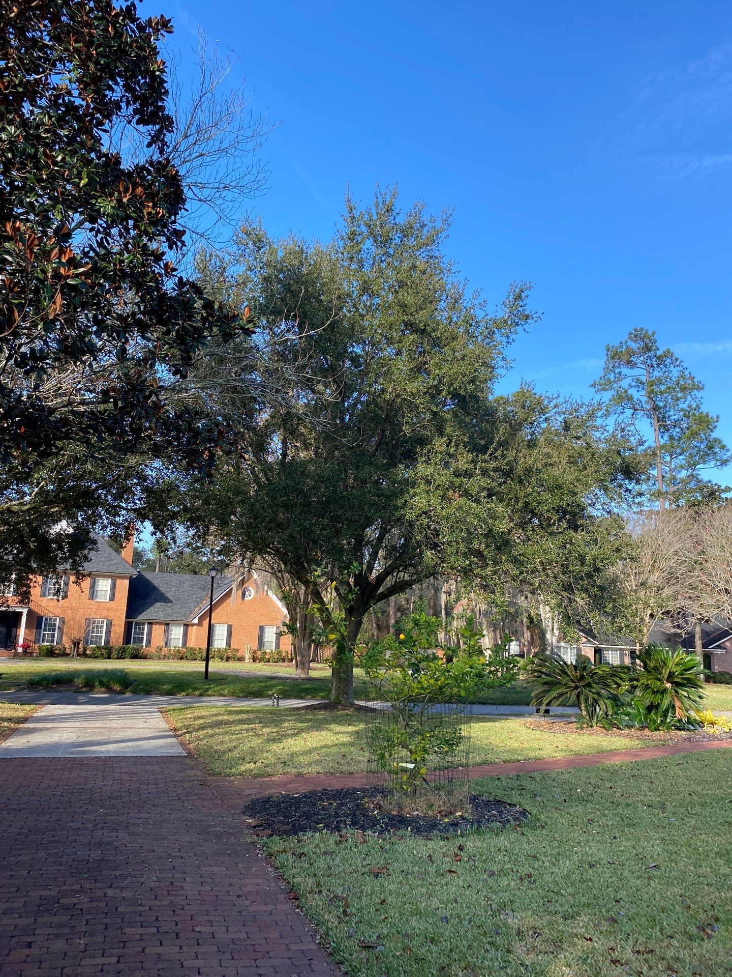 Deerwood Resident | General Landscaping by ProGreen Services