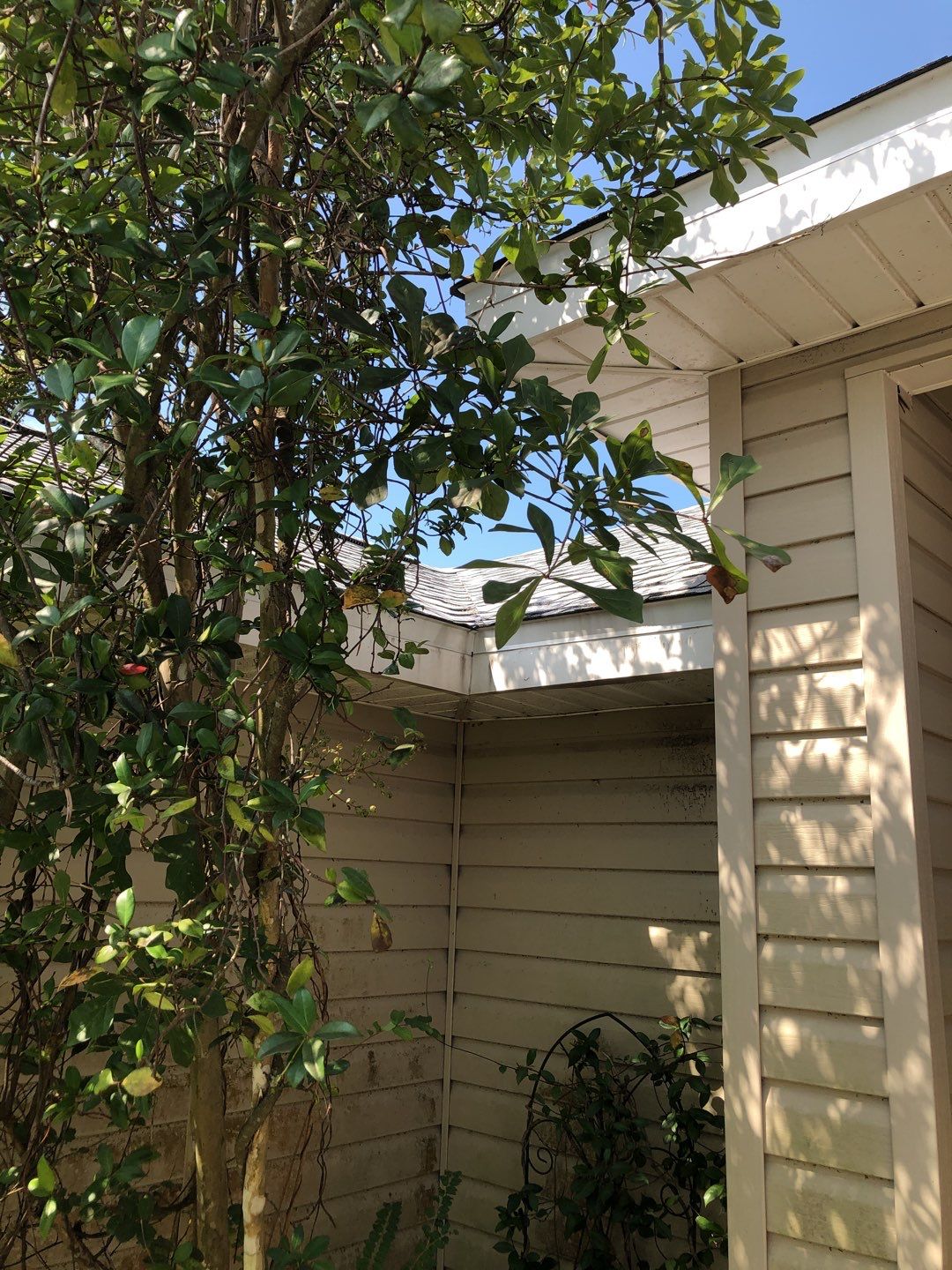 Residential Soffit and Fascia Roof Repair by Gutter Professors