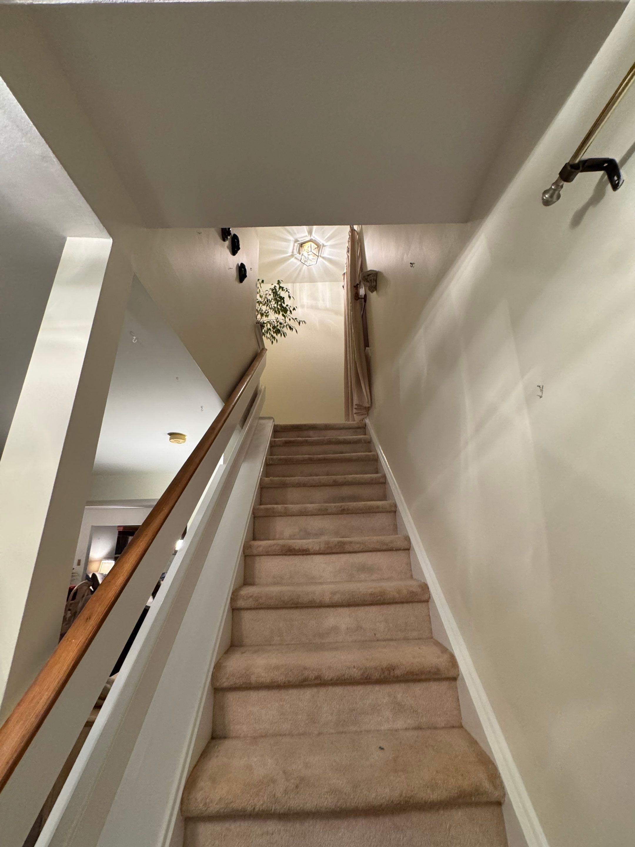 Full Home Transformation in Collegeville, PA by Davis Painting Llc 