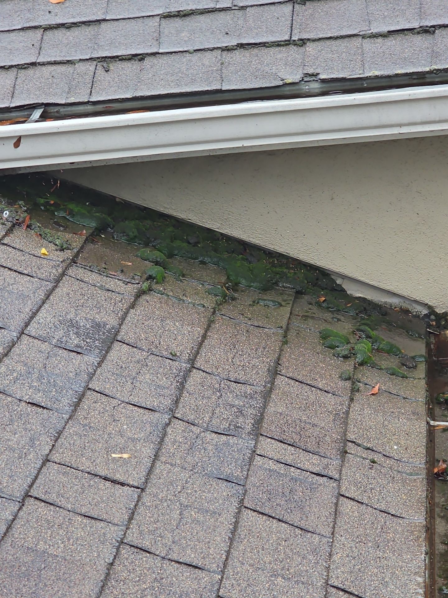 Roof Rejuvenation using Roof Maxx Treatment by Roof Maxx of Folsom
