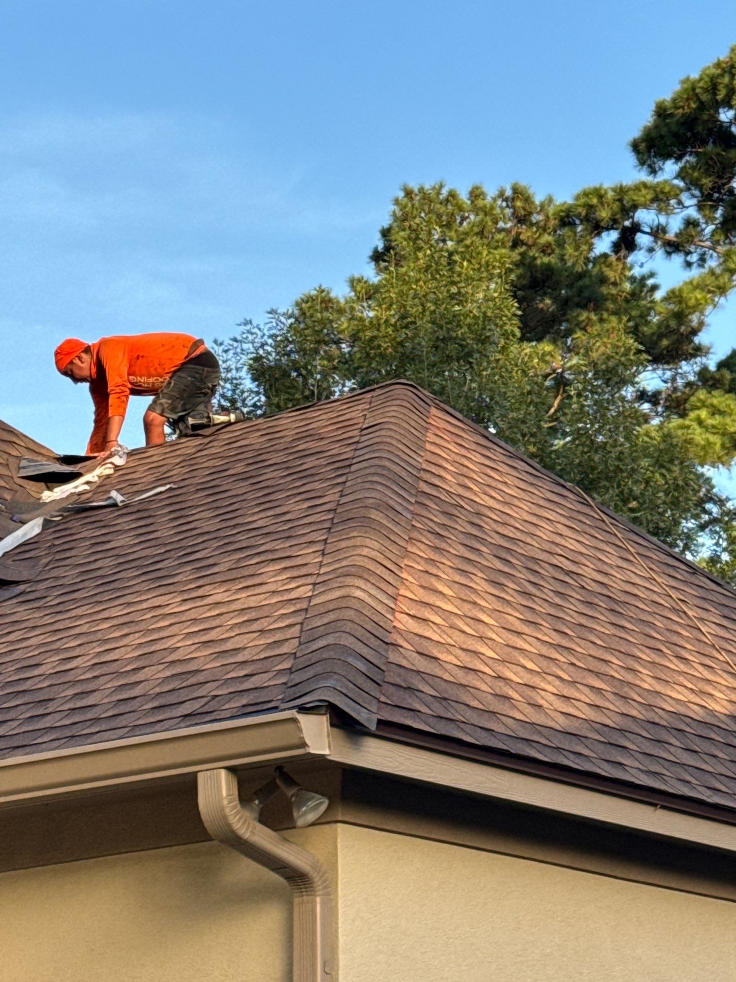 Marilyn H by Boss Hogg Roofing