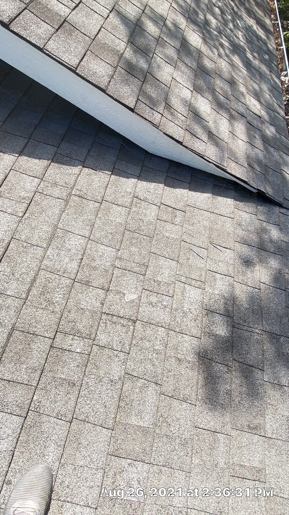 Roof Replacement with upgraded needed ventilation using Malarkey Highlander Storm Grey by Gorilla Exteriors Contracting, LLC