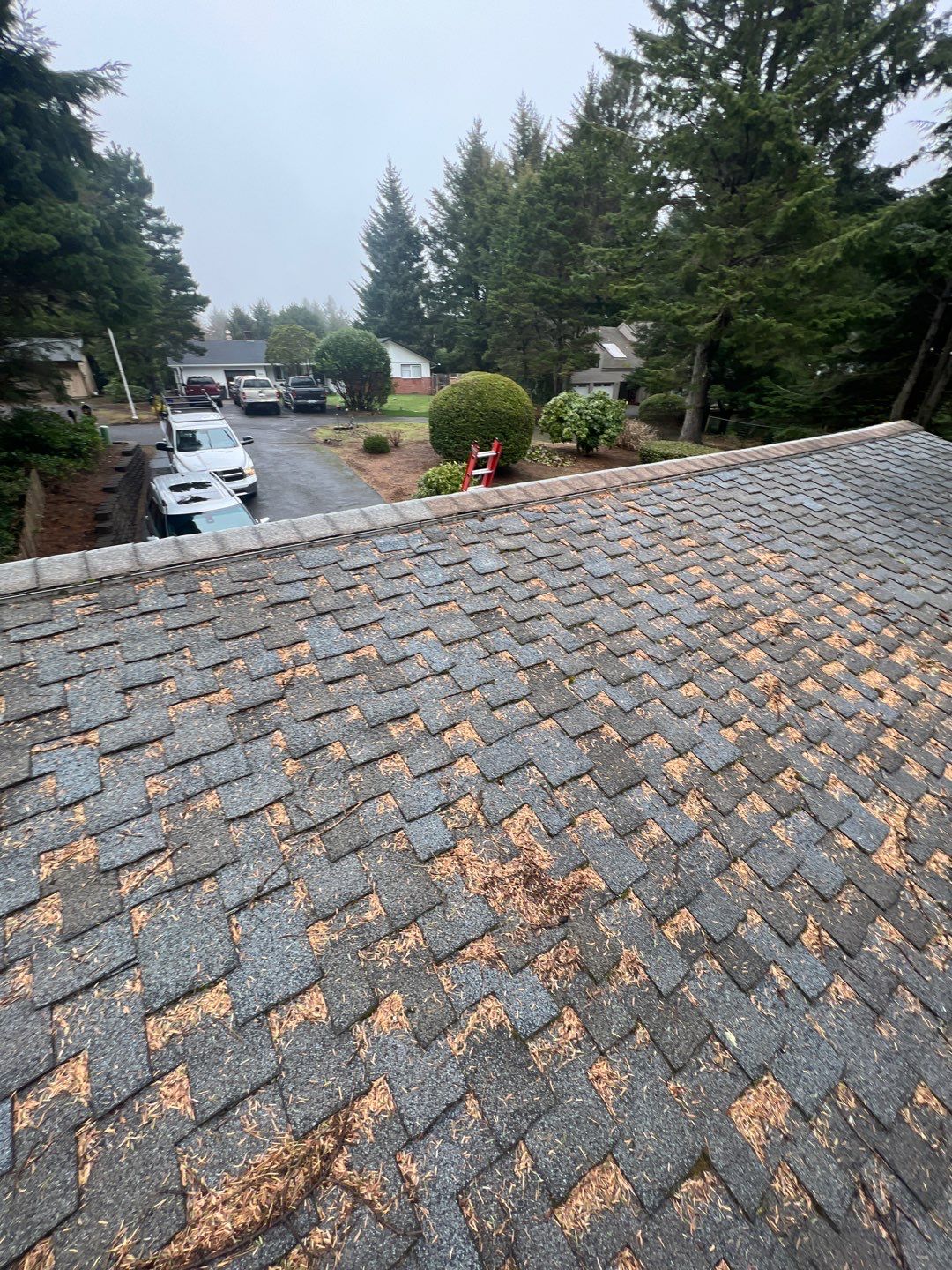 Residential Roofing Installation using Malarkey Highlander with GAF 60mil TPO by Orezona Building & Roofing Company, Inc.