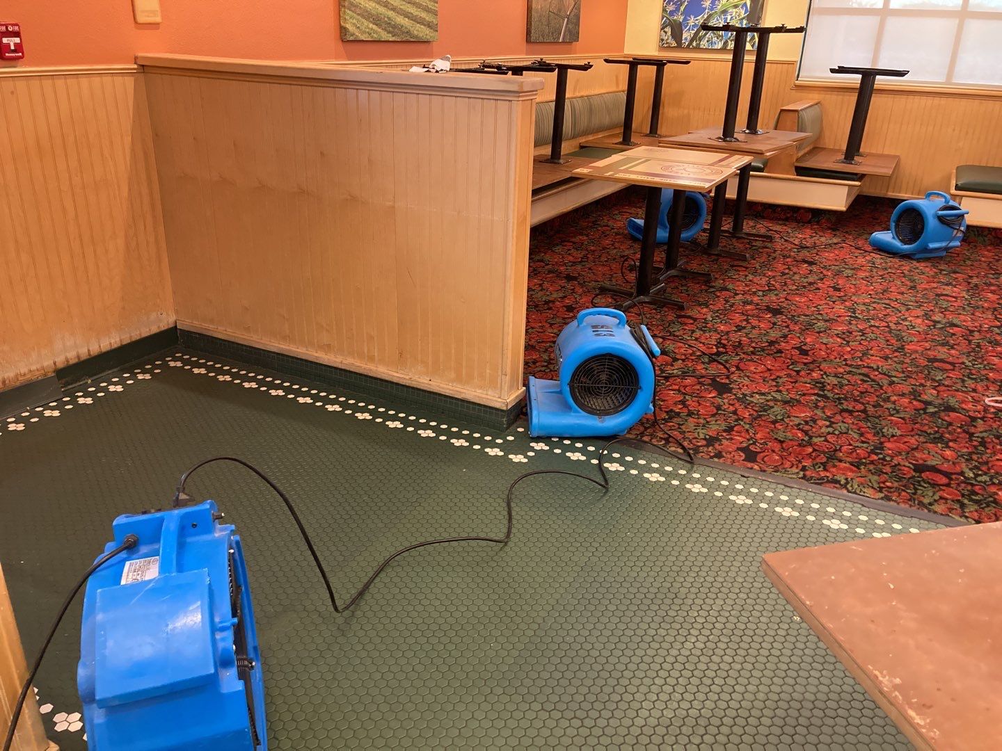 Water Damage  by Accountable Home Services