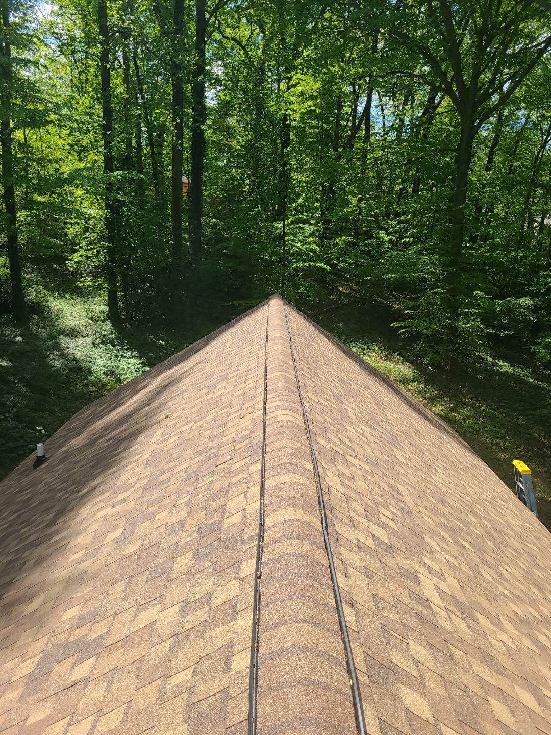 Annandale: Multi-Trade Tree Damage Restoration by RM Banning, Inc.